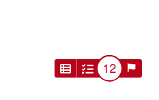 Red ed11y accessibility checker widget with a count of 12 issues and icons for summary, checklist, and flag.