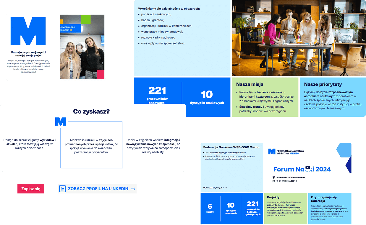 WSB Merito - the goal