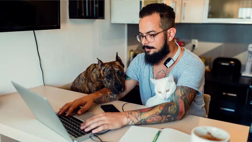 Man with pets using VMware