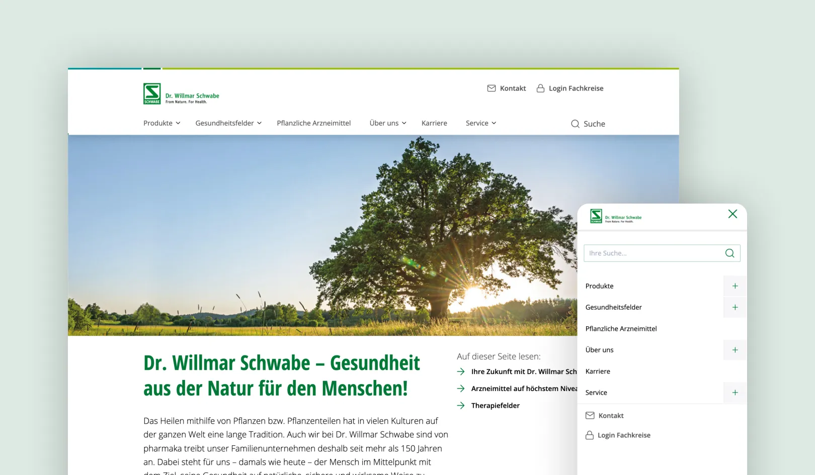 Home page of the Schwabe group website with example product search. 