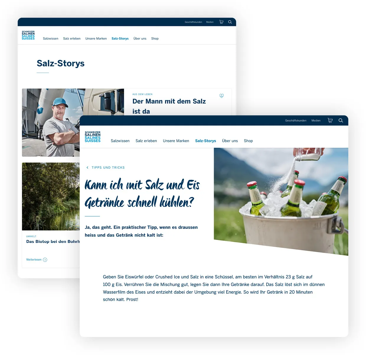 salz.ch webshop example