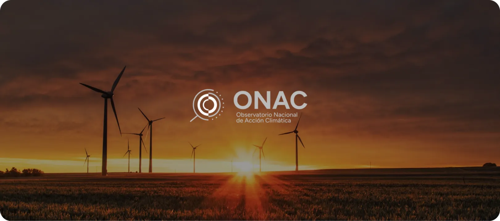  National Climate Action Observatory Argentina