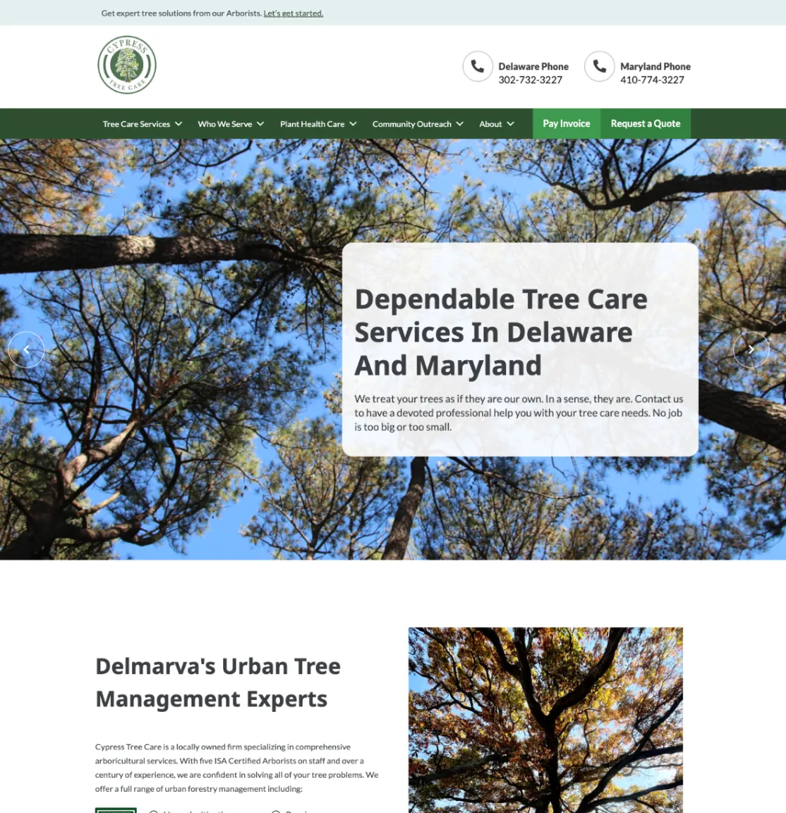 Cypress Tree Care Home