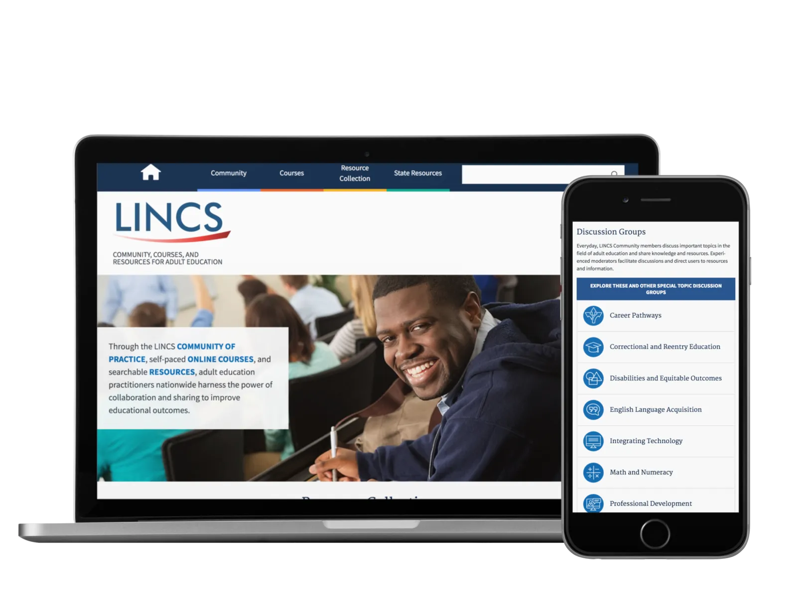Screenshot featuring LINCS' website design
