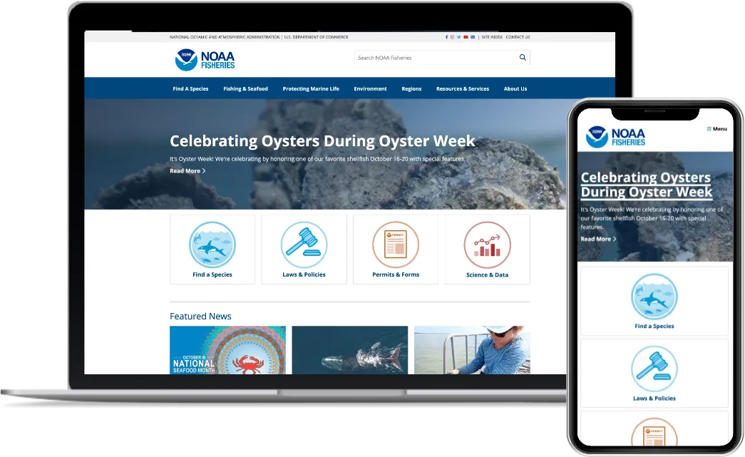 Graphic depiction of mobile and desktop versions of the website