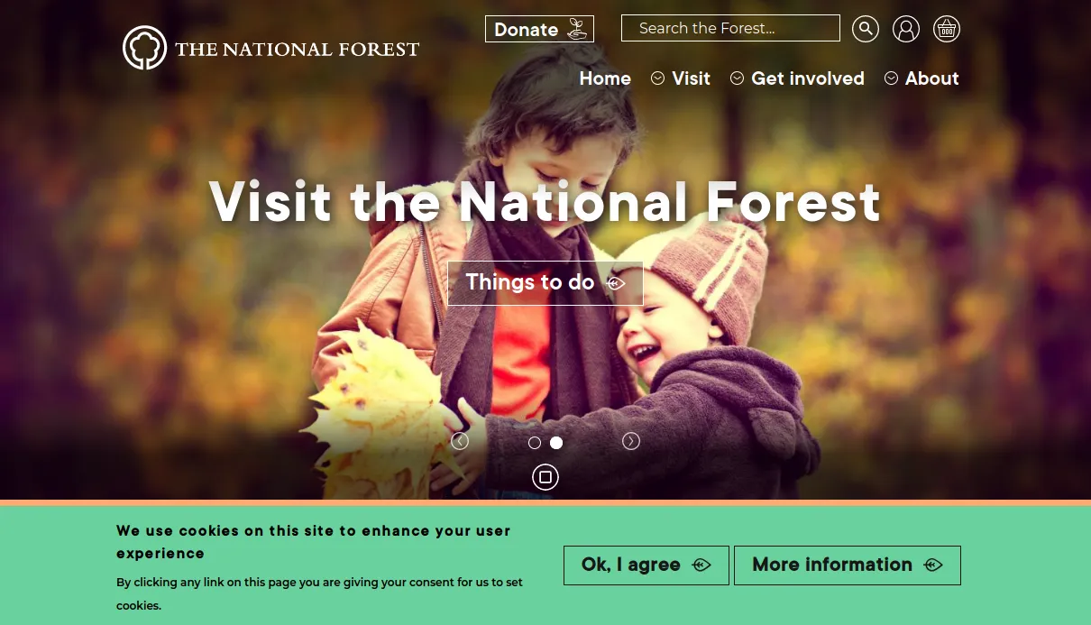 National Forest Screenshot