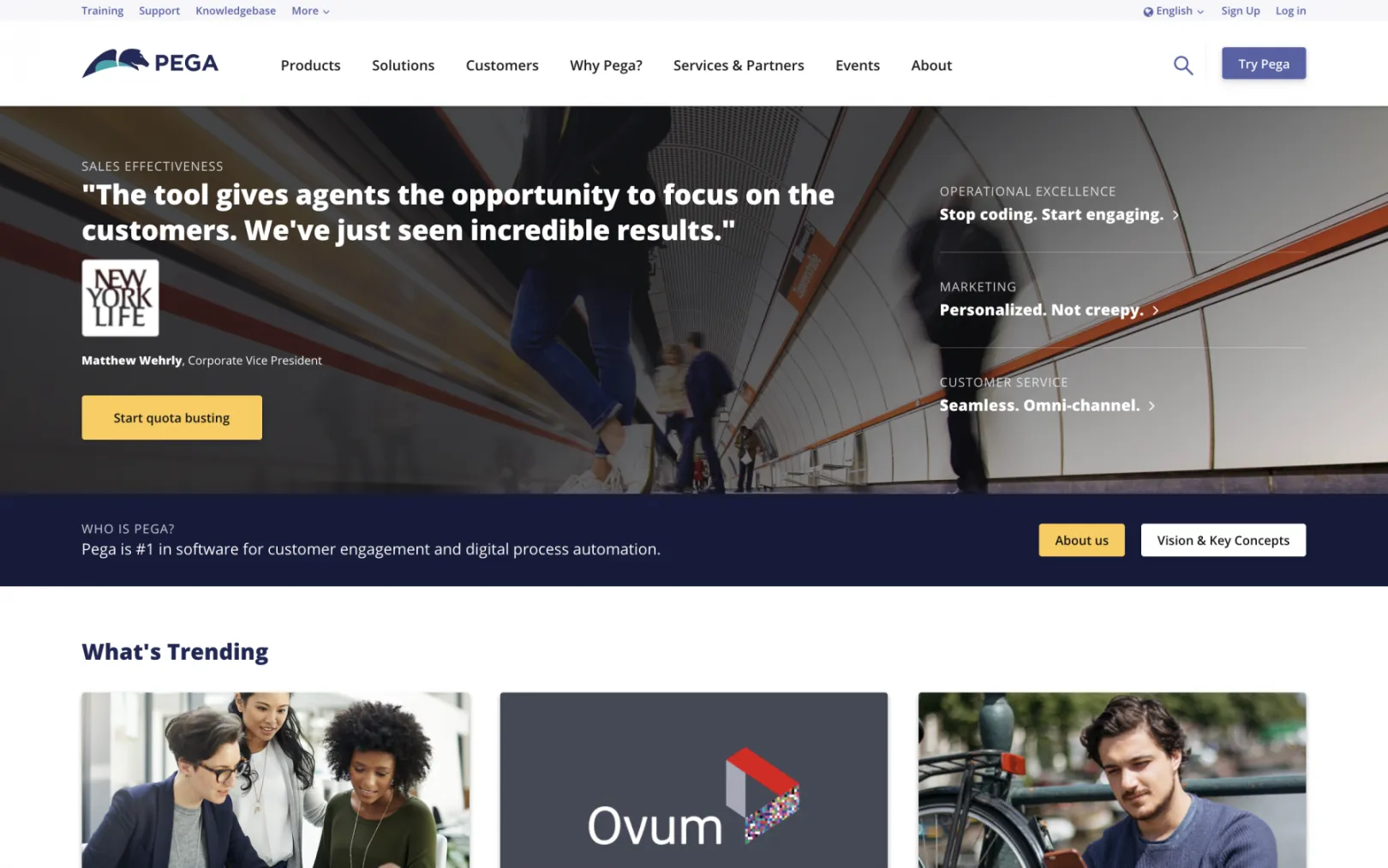 Pega Main Site homepage screenshot