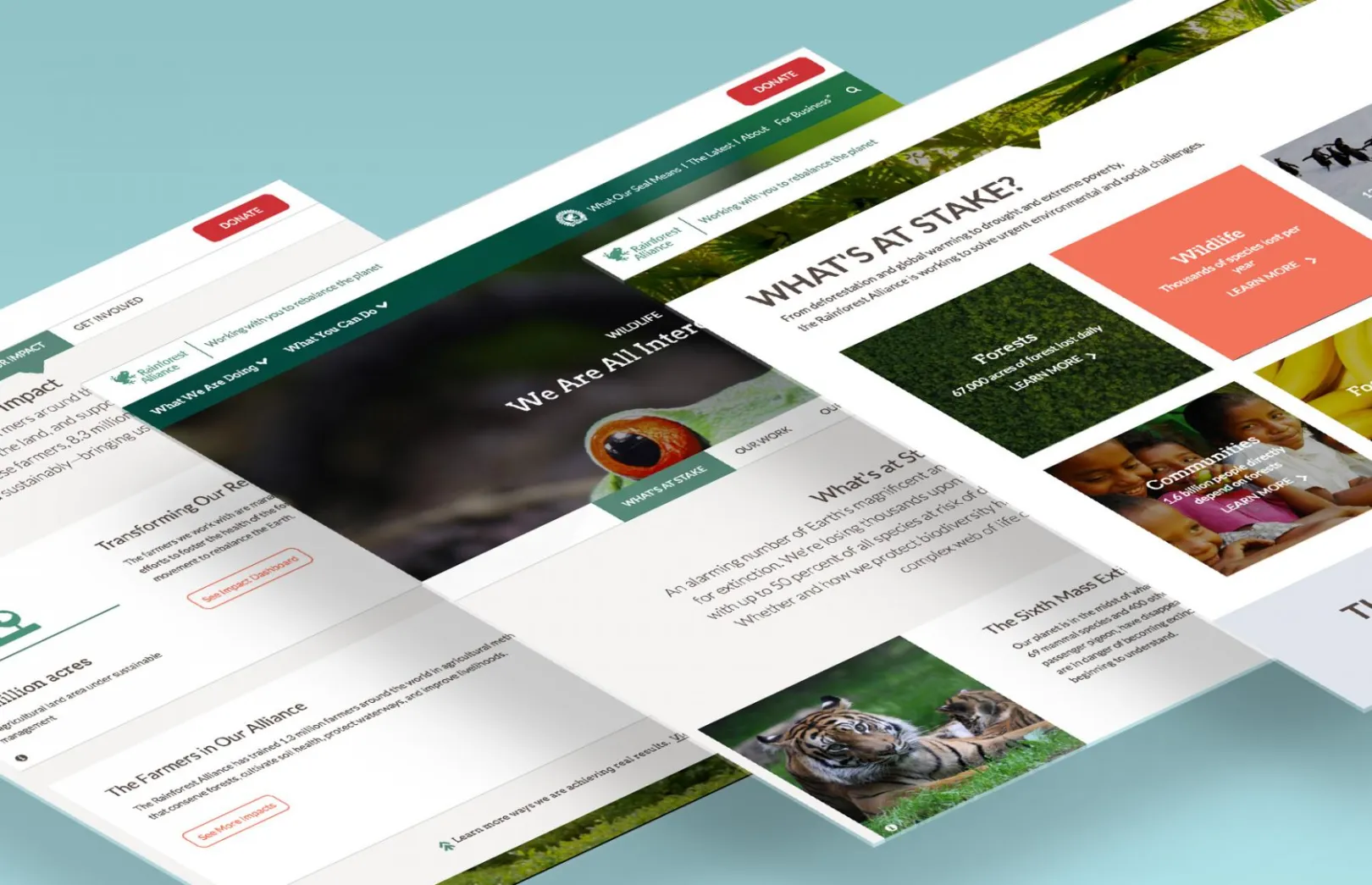 screenshot of different layouts