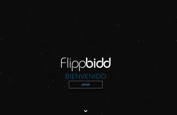 FlippBidd