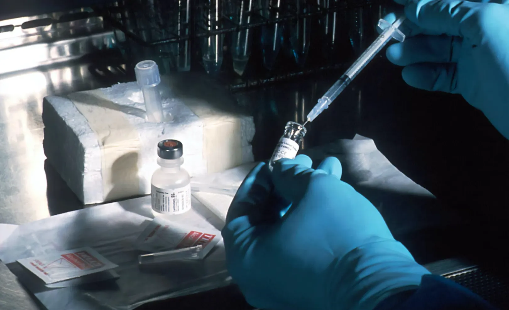 Support & maintenance of 3000+ websites for a Fortune 500 biopharmaceutical company