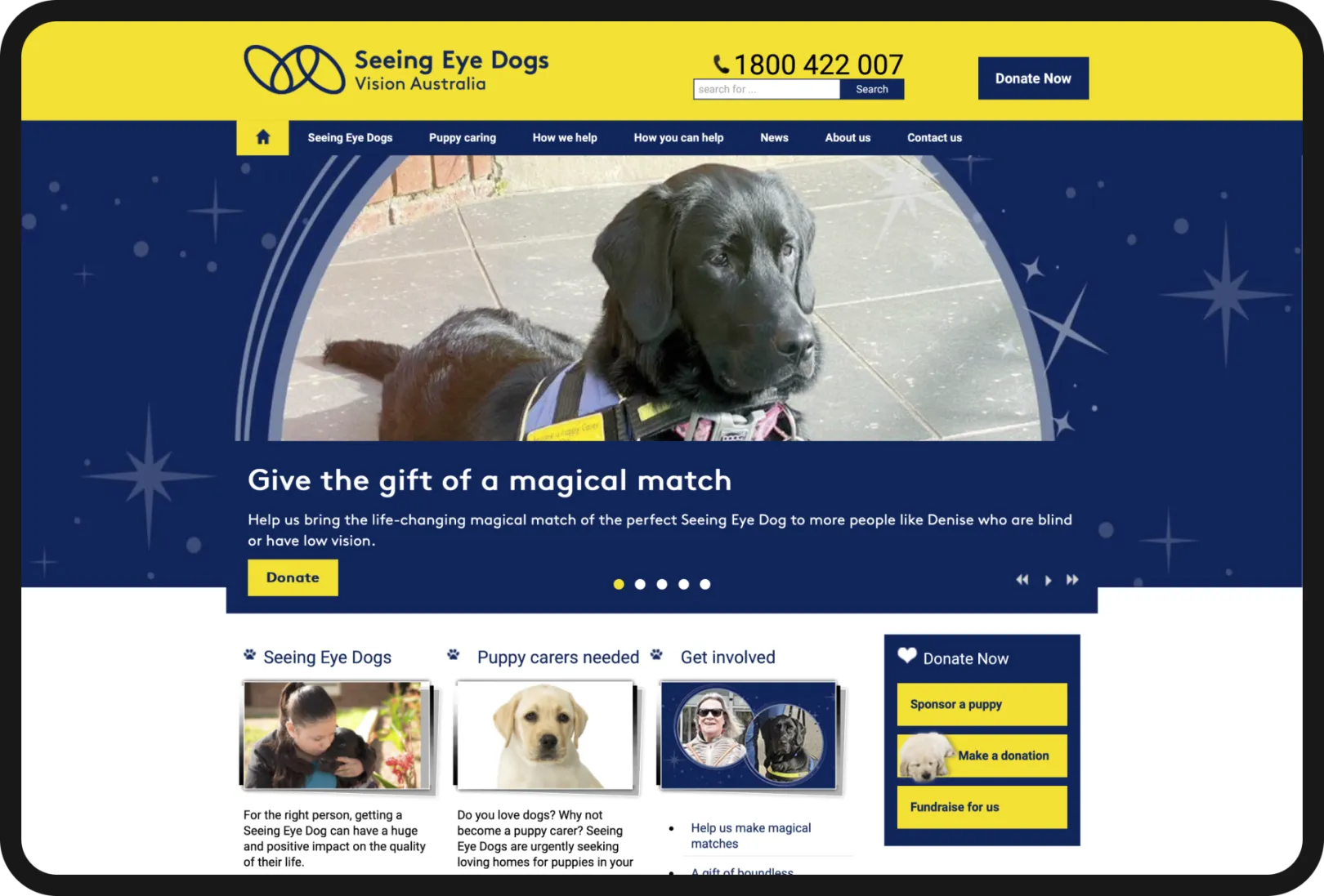 Screenshot of https://sed.visionaustralia.org/