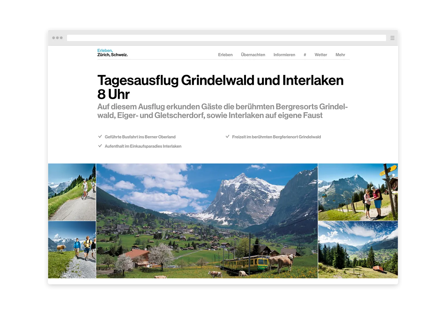 Page to get informed about tours in and around Zurich