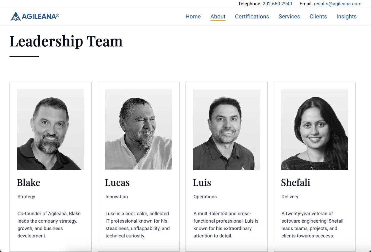 About the Agileana Team