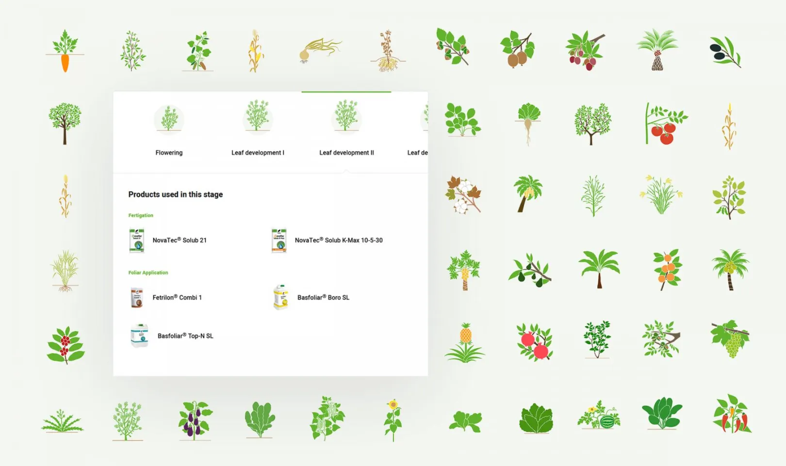 Compo Expert Crop Growth