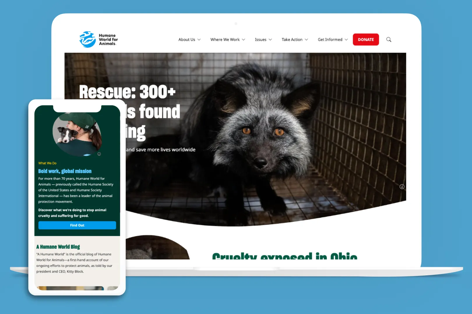 Humane World website on multiple devices