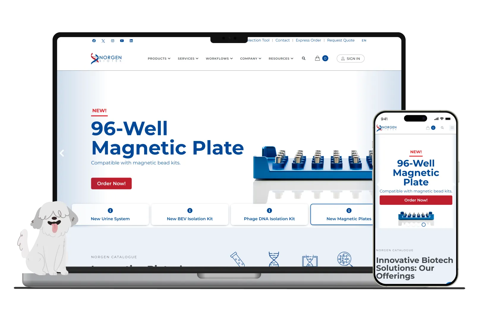 Norgen Biotek – Leading Canadian Biotechnology Company