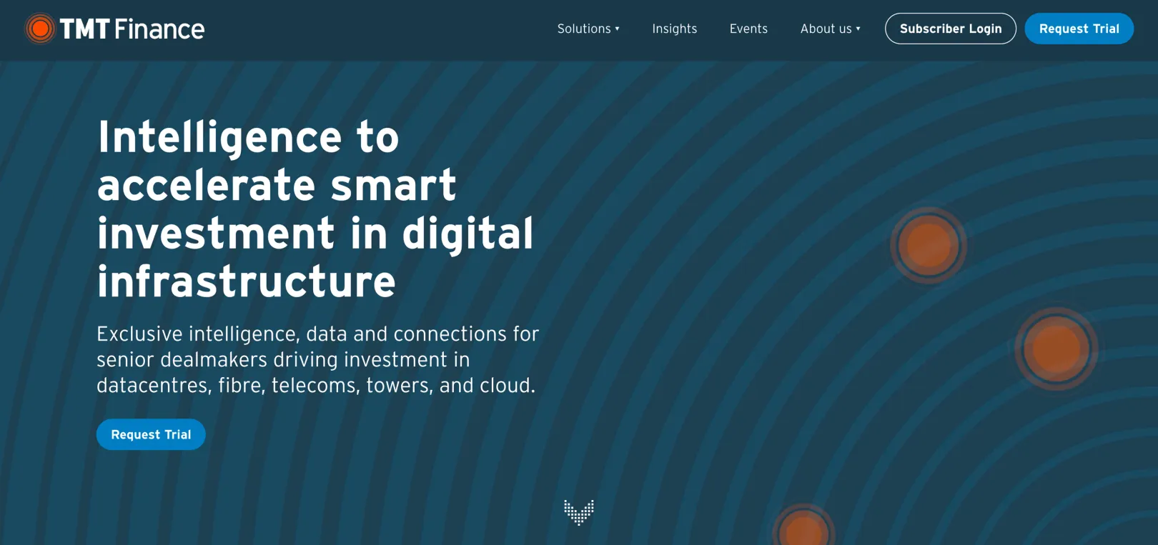 Screenshot of TMT website homepage - Lemberg Solutions