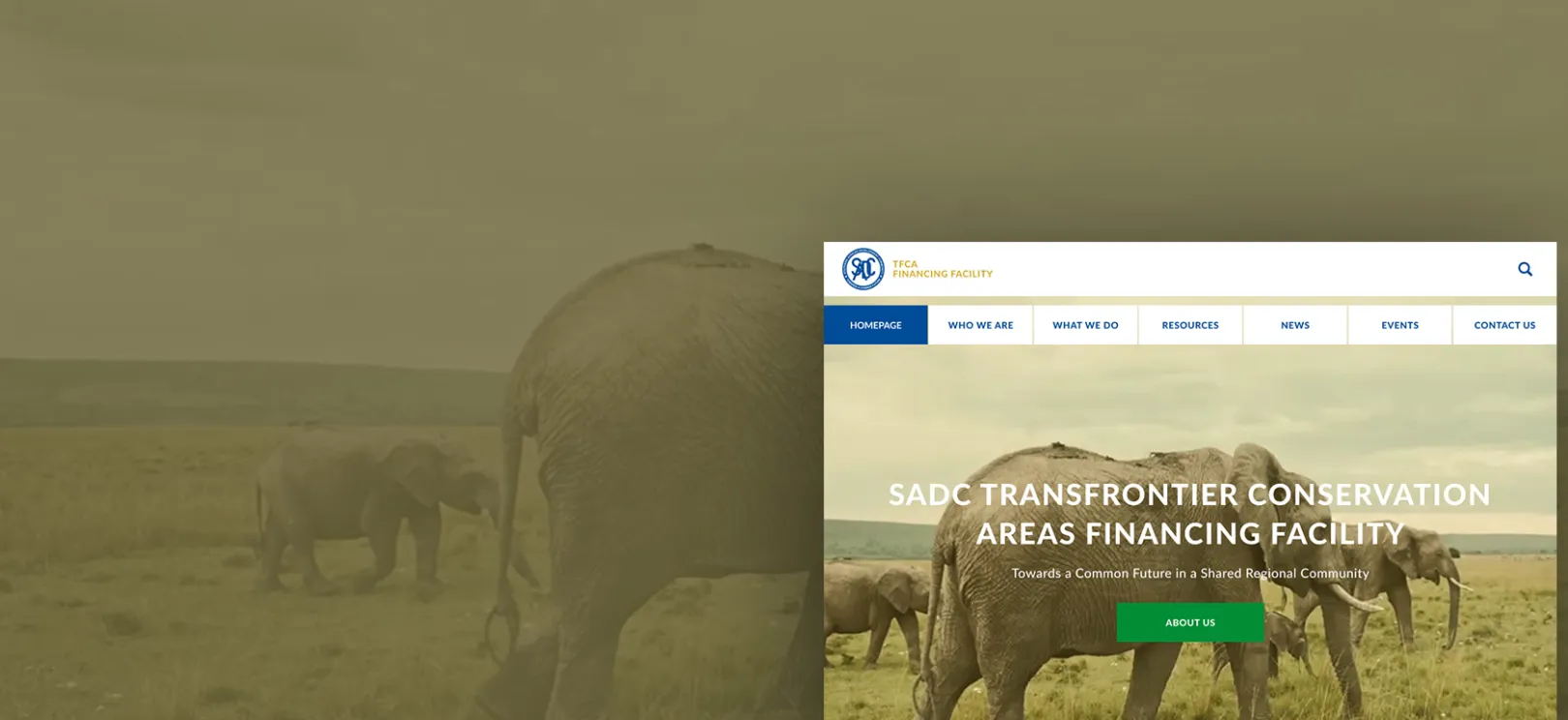 sadctfcafinancingfacility.org screenshot
