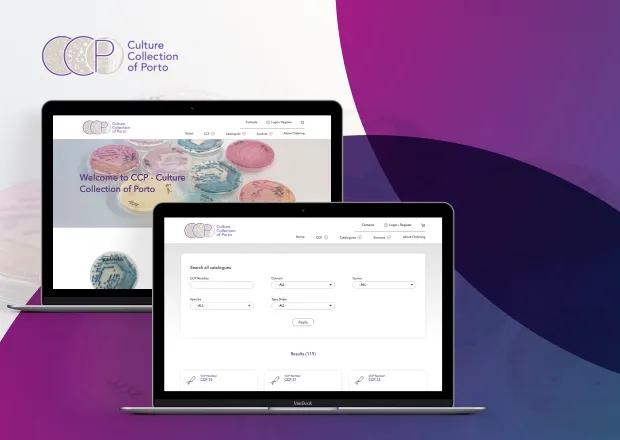 Screenshot of CCP Drupal 10 platform developed by JAVALI