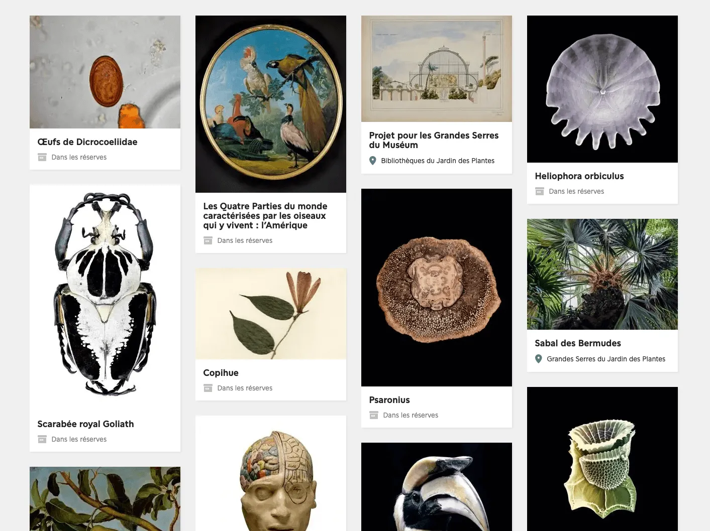 Screenshot of a web page showcasing the Museum collection
