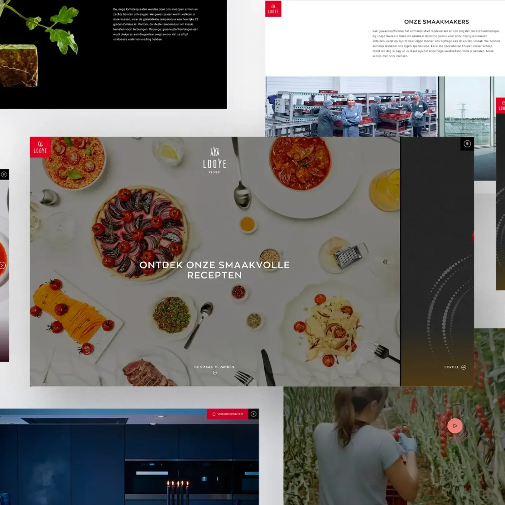 Looye website screenshots