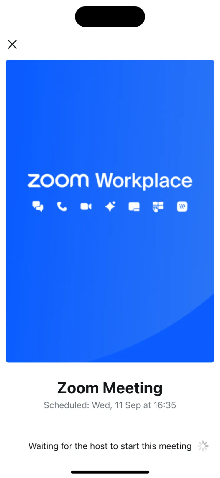 Mobile app - Zoom Lesson