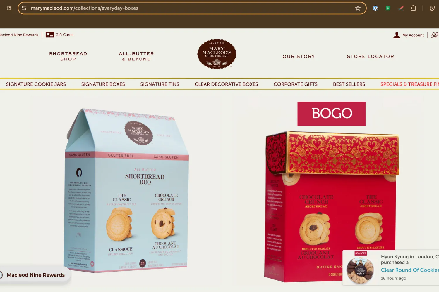 marymacleod Drupal web development by OPTASY