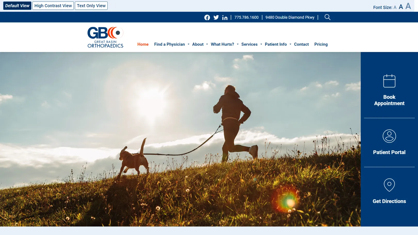 Great Basin Orthopaedics