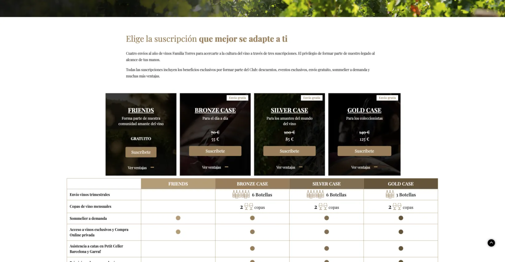 Screenshot of the subscription comparison table