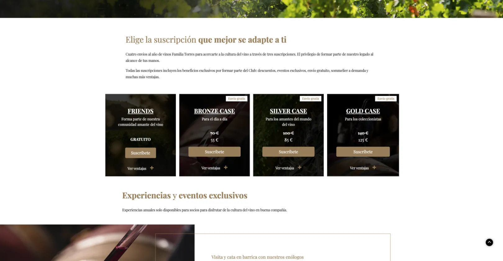 Screenshot of the subscriptions section