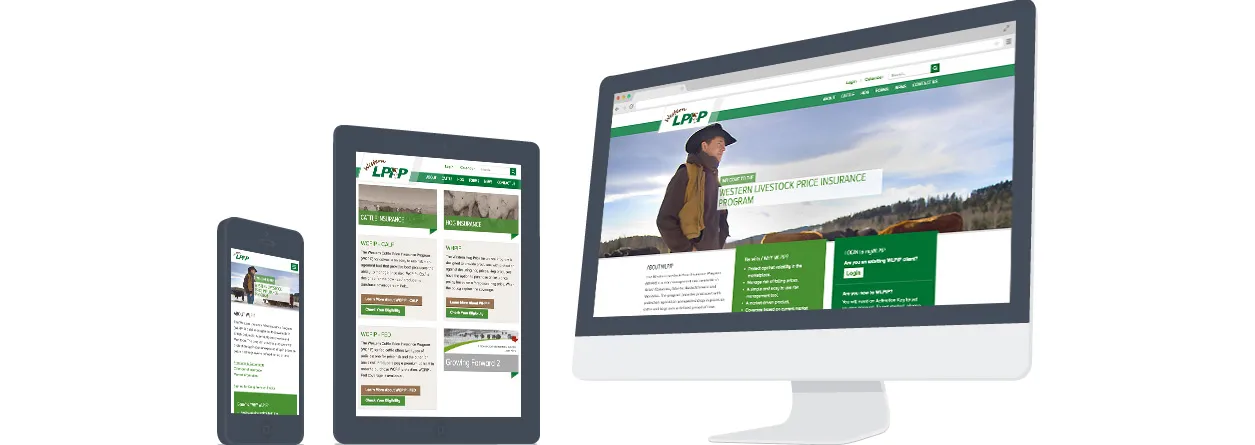 WLPIP responsive layout on mobile, tablet, and desktop