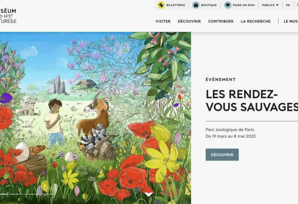 Screenshot of the MNHN website's home page