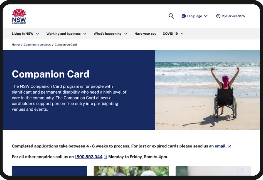 Image of Companion Card homepage