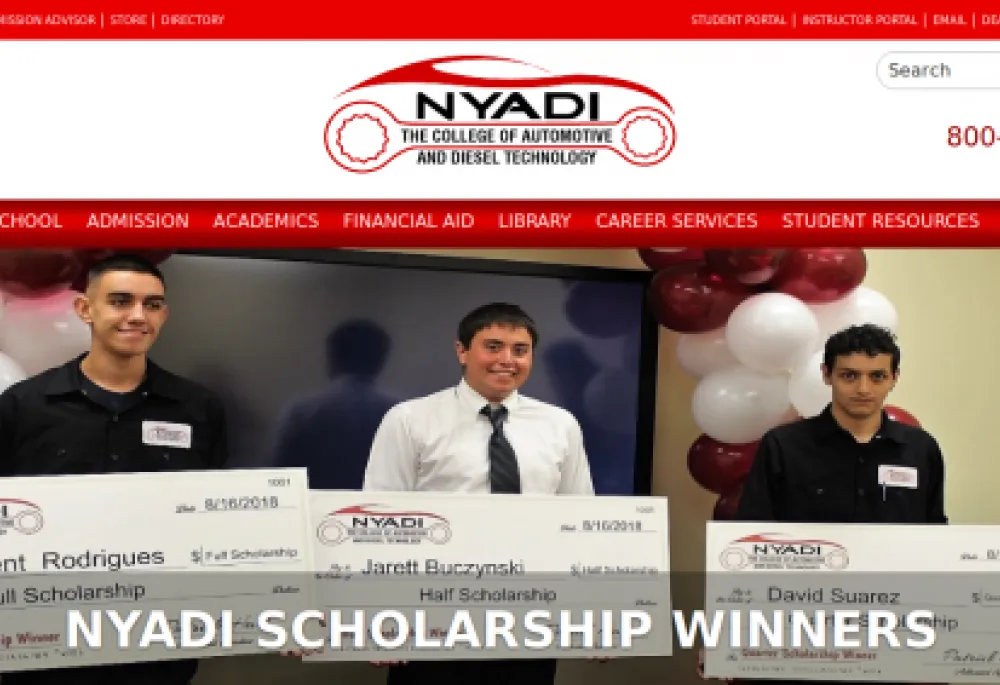  NYADI