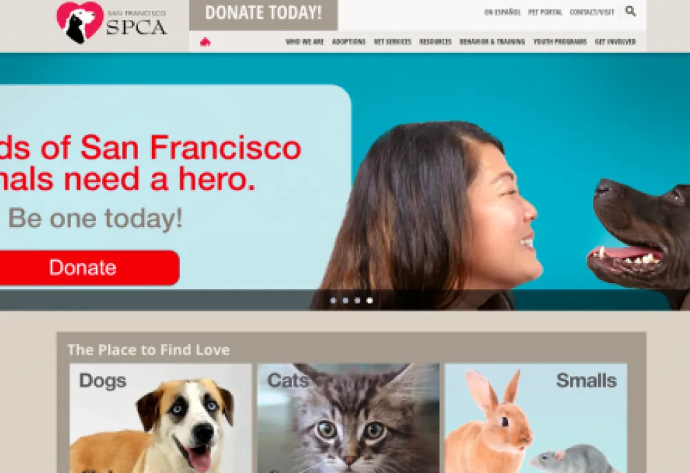 SF SPCA home page