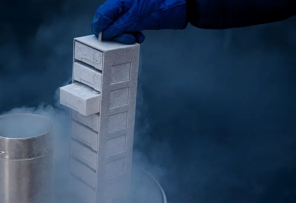 cells being pulled out of liquid nitrogen 