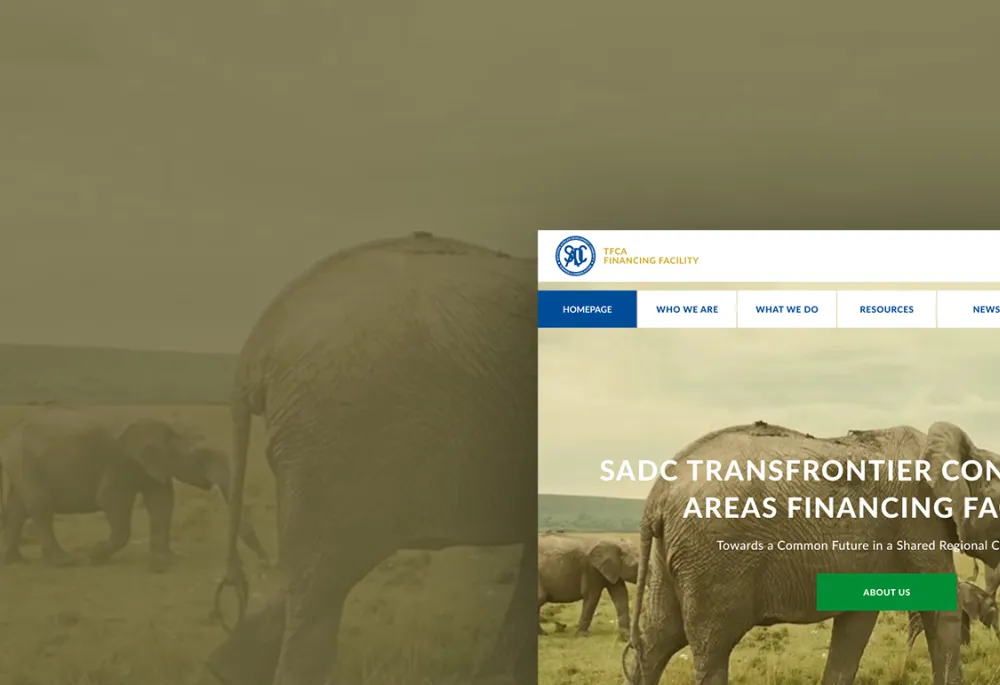 sadctfcafinancingfacility.org screenshot