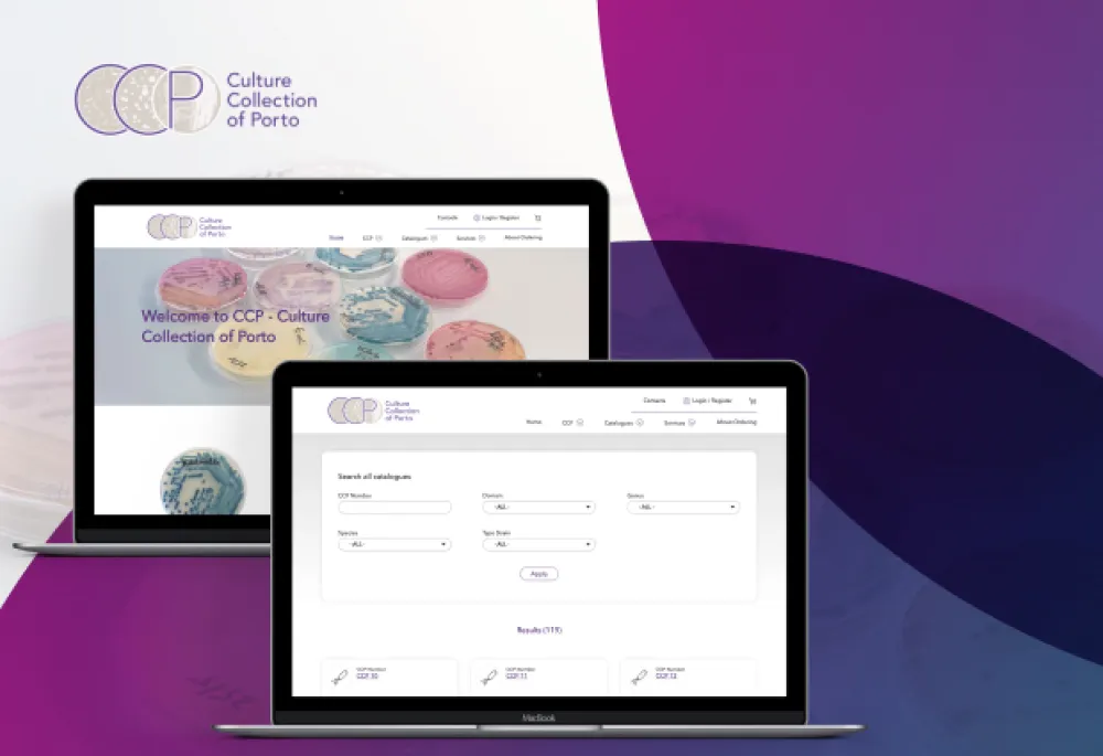 Screenshot of CCP Drupal 10 platform developed by JAVALI