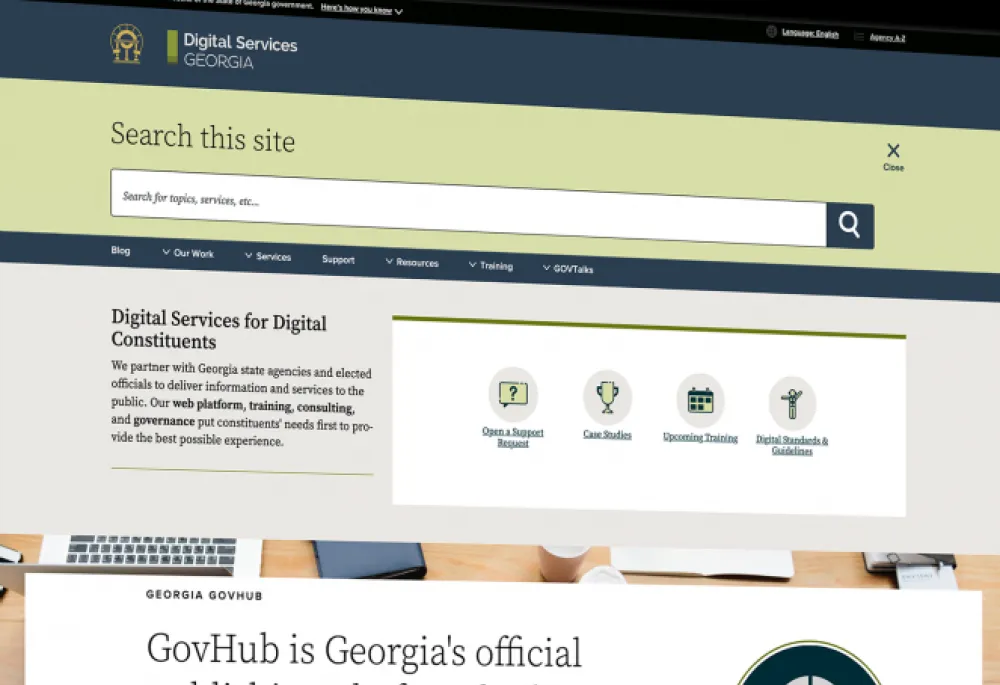 Digital Services Georgia website