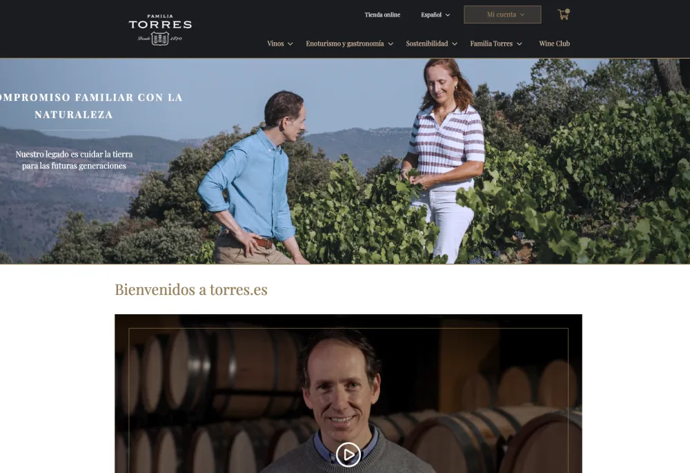 Screenshot of the torres.es homepage