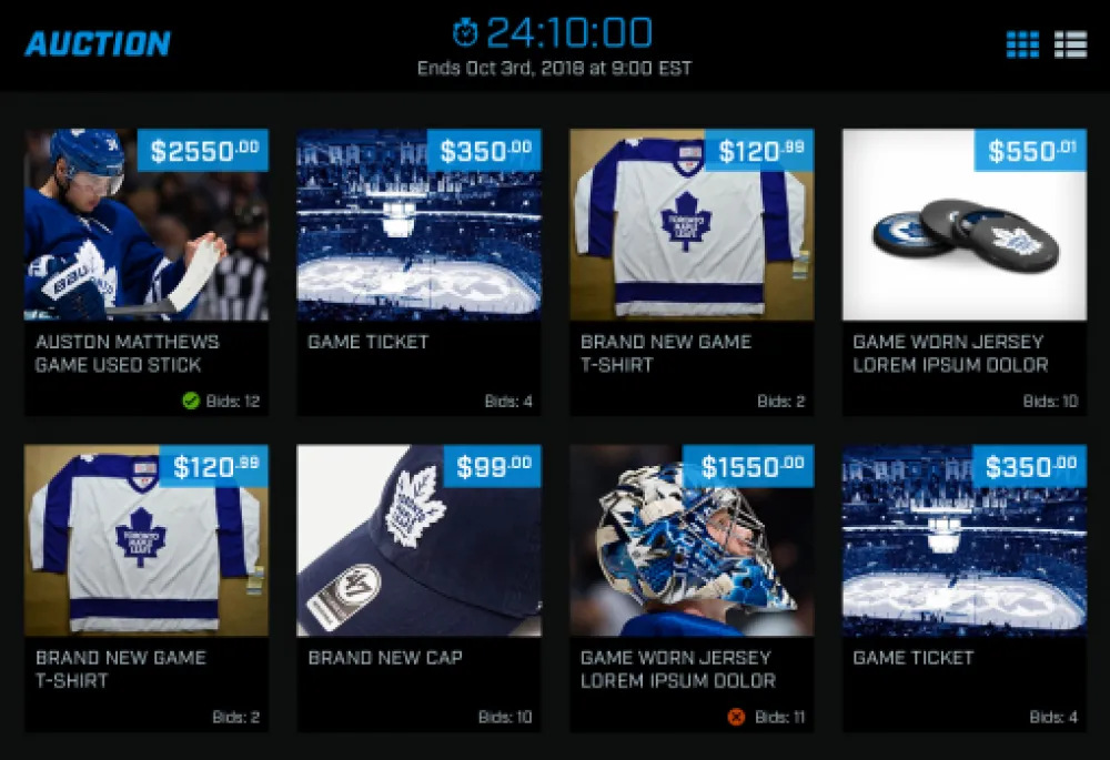 MLSE Auctions