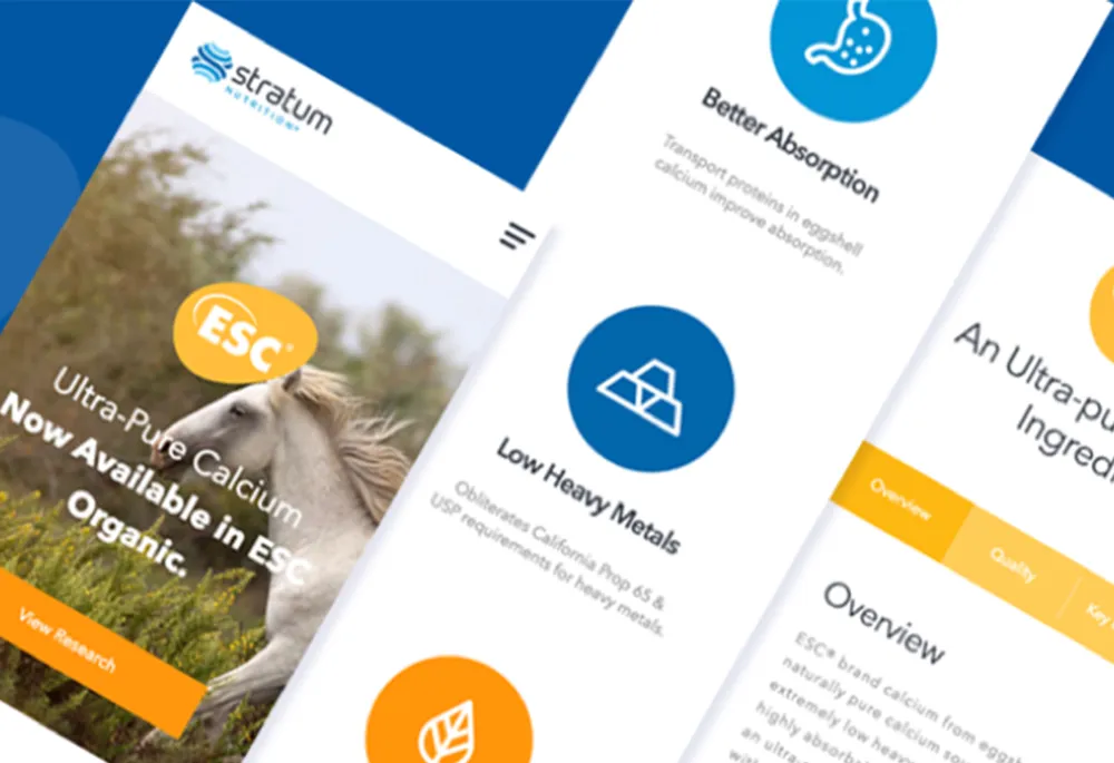 Drupal case study 