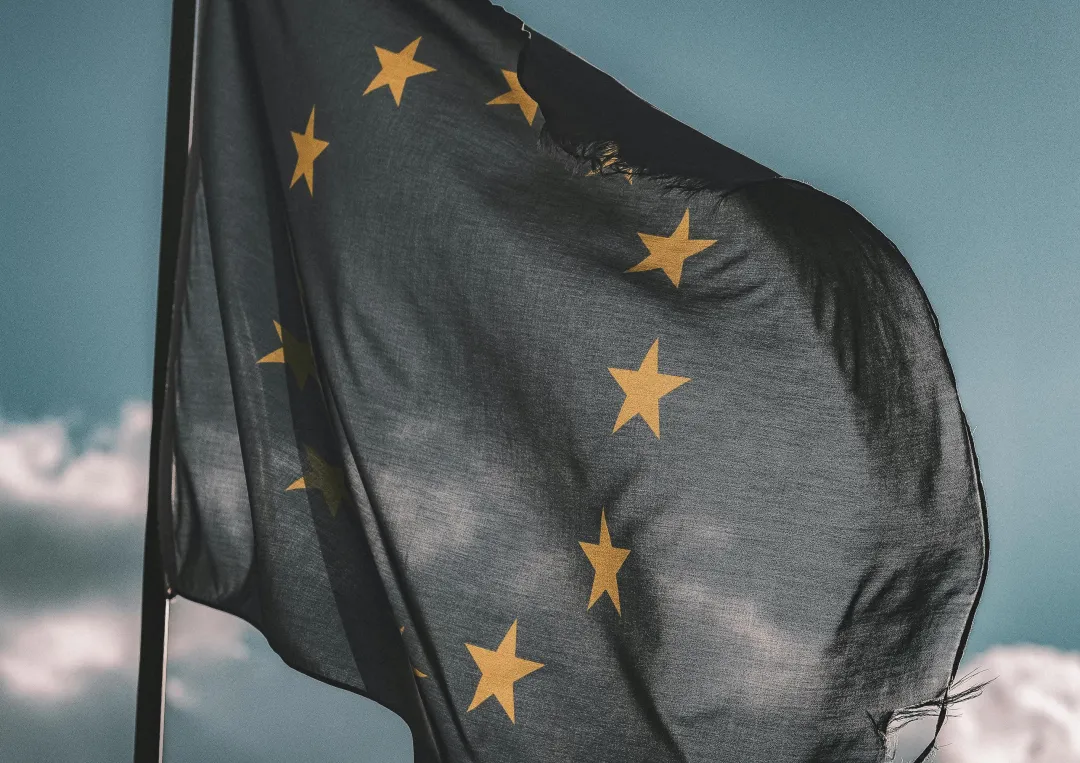 pexels-eberhardgross-1743364