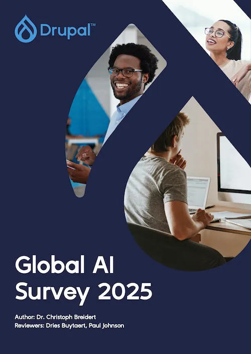 Global AI Survey 2025
