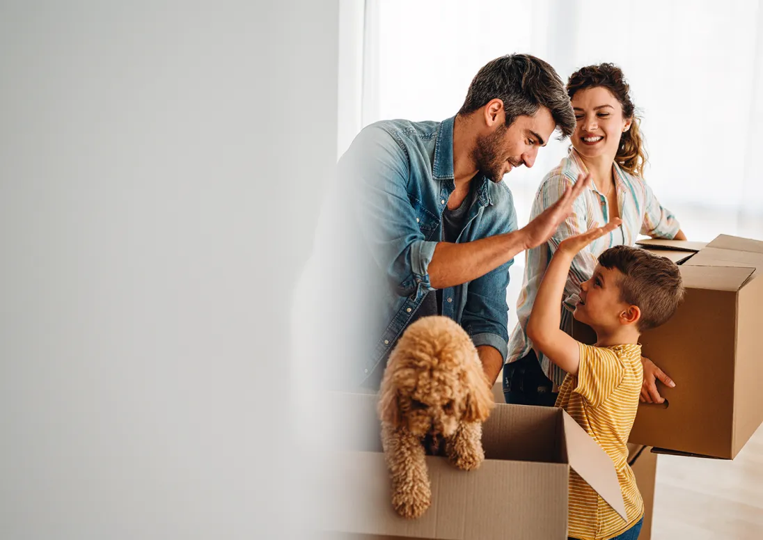 Father, mother, son and dog packing boxes 