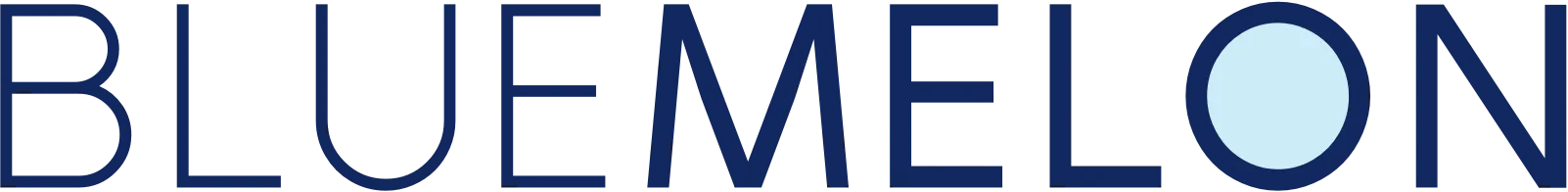 BlueMelon Web & AI Agency
