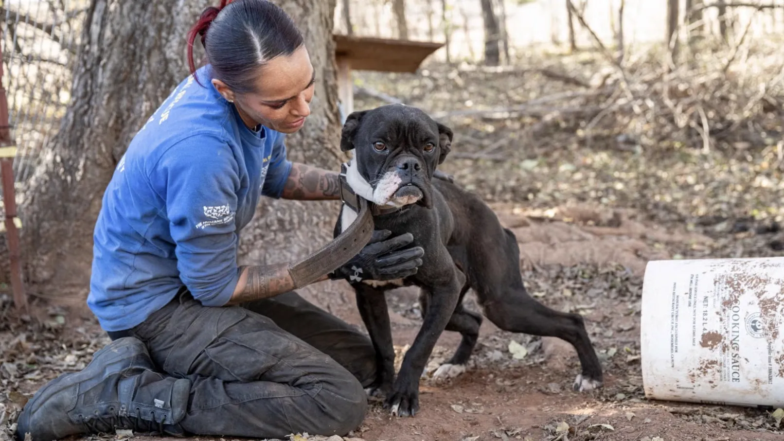 Woman in a Humane World tshirt helping to rescue a black and white dog