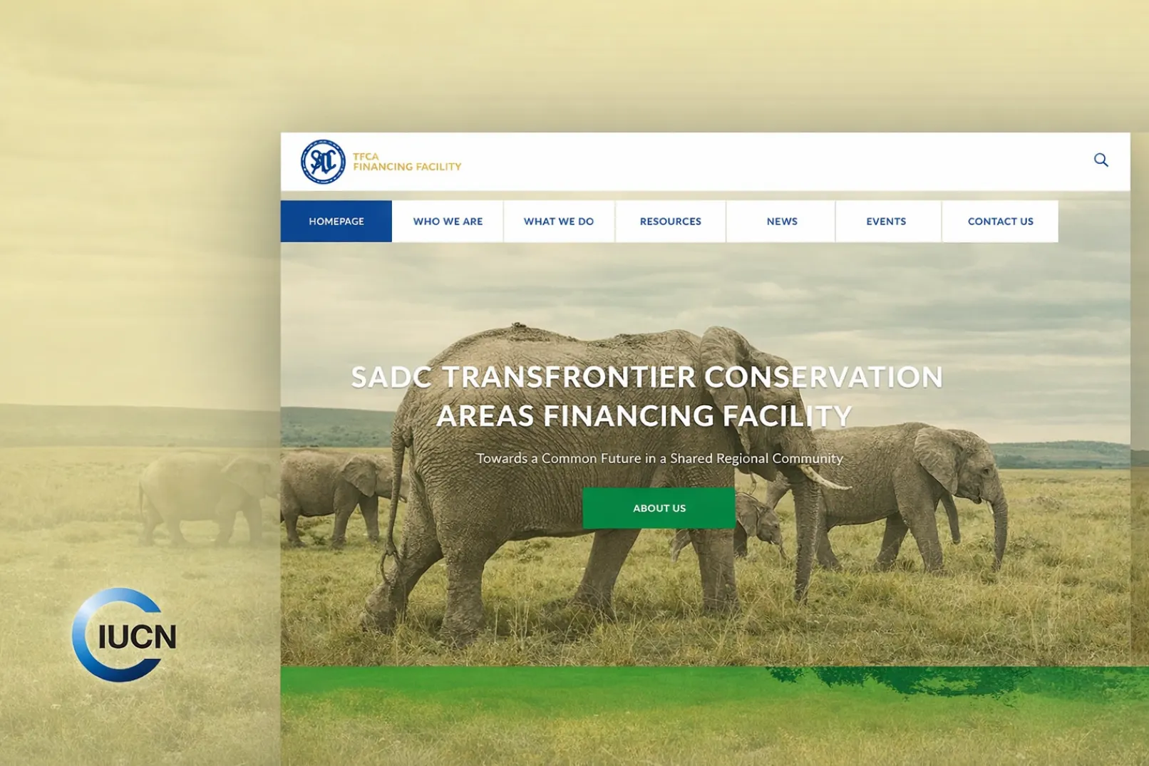 sadctfcafinancingfacility.org screenshot