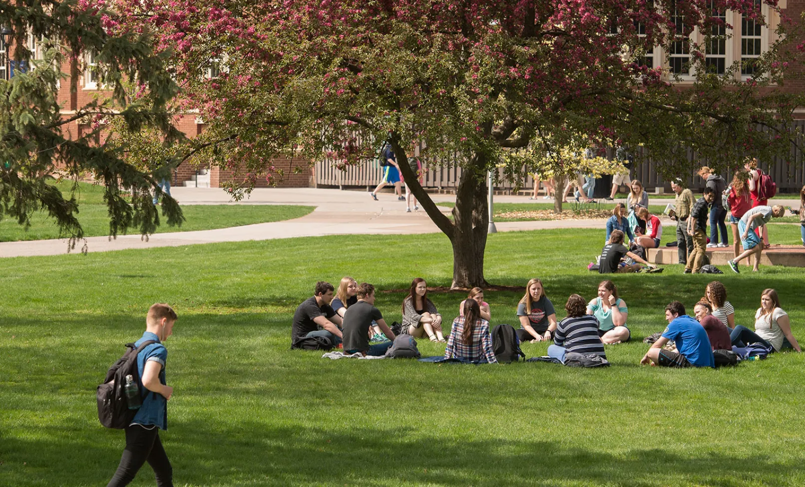 image of students on college campus