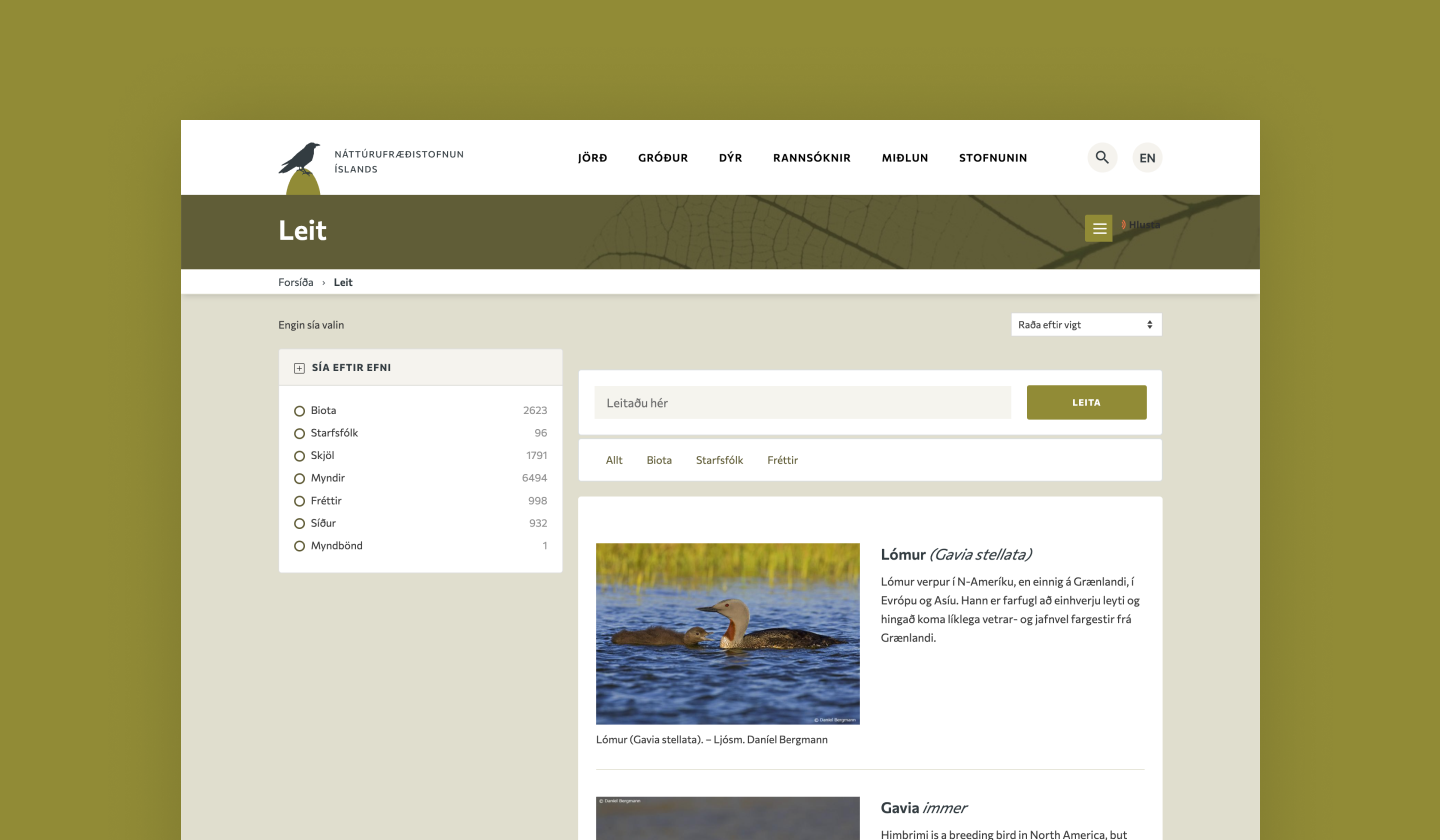 On-site search functionality on the Ní website